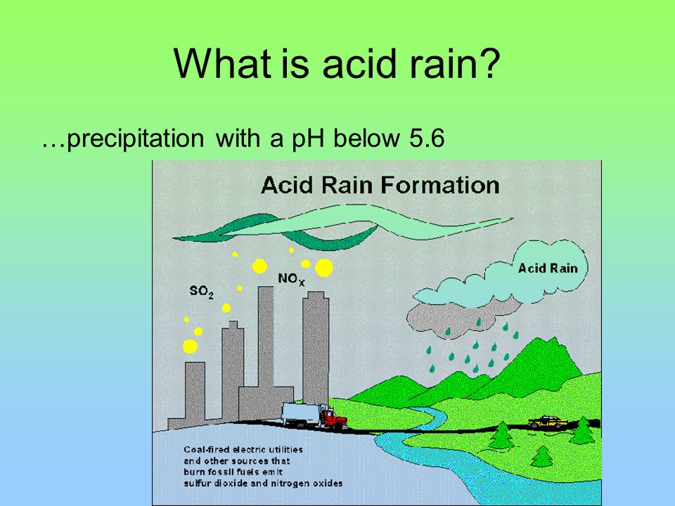 The Effects of Air Pollution: Acid Rain